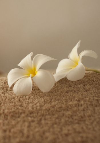 リラックス効果